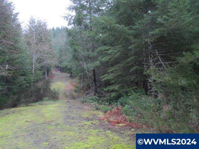 000 Rocky Top - Photo 1