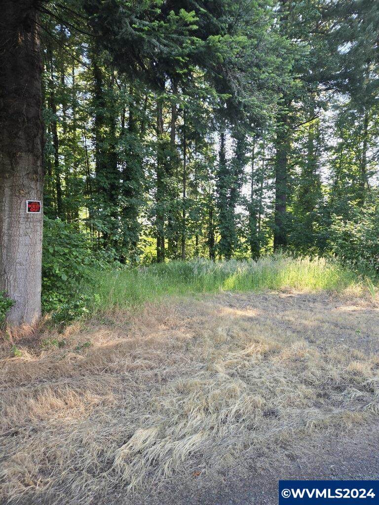 TL2500 Grape - Photo 1