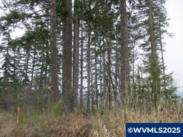 0 Rock Creek - Photo 1