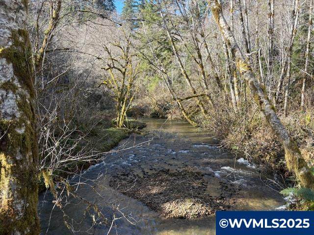 0 Steer Creek - Photo 1