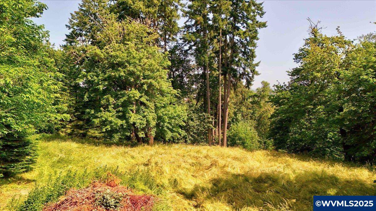 Lot 4 Victory - Photo 1