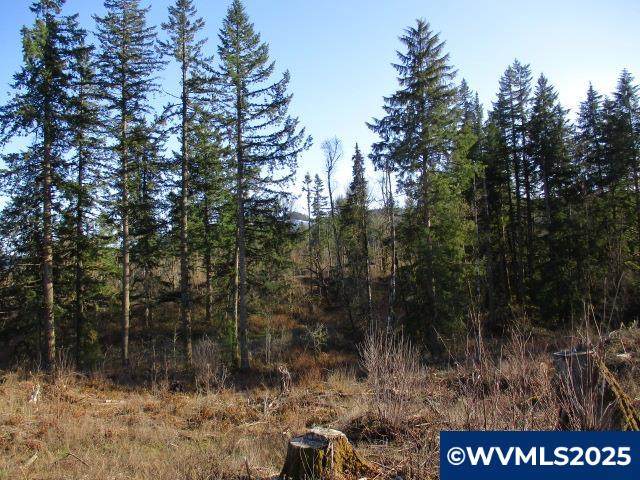 000 Abiqua Dam (Large) - Photo 1