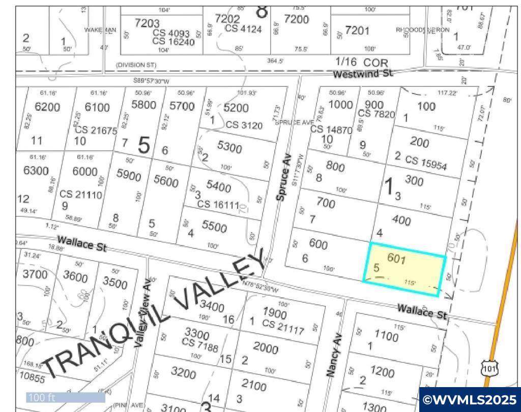 10 Wallace - Photo 1