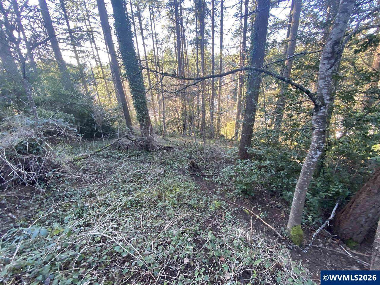 1810 Alta Vista - Photo 1