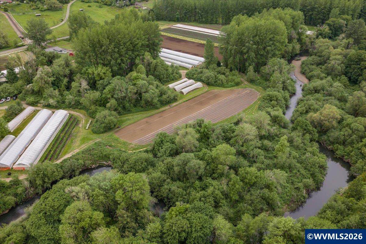 25159 Grange Hall Rd - Photo 1