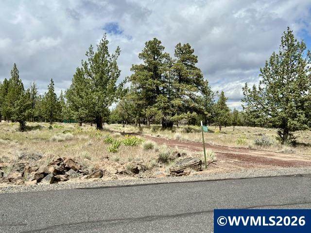 13330 Airstrip - Photo 1