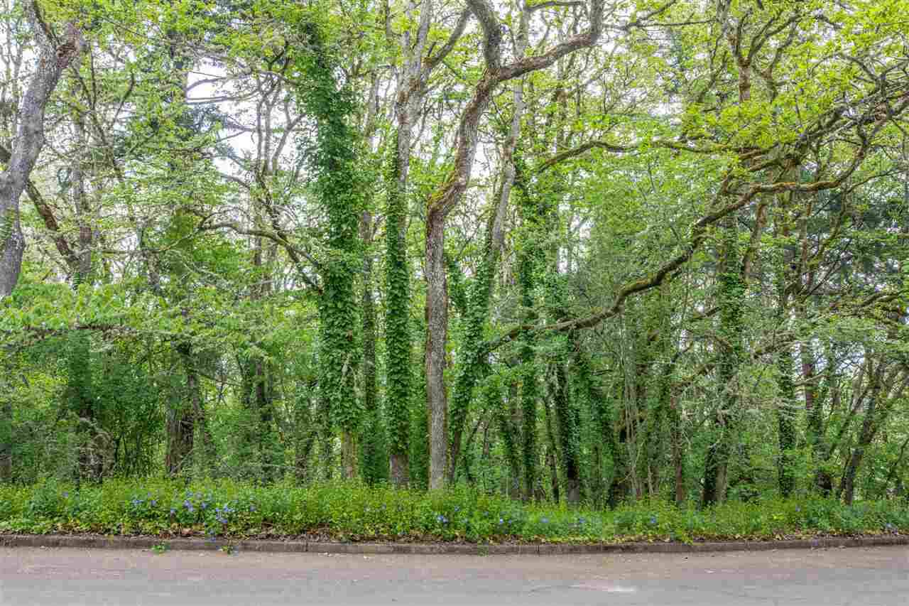 1375 Forest (Next To) - Photo 1