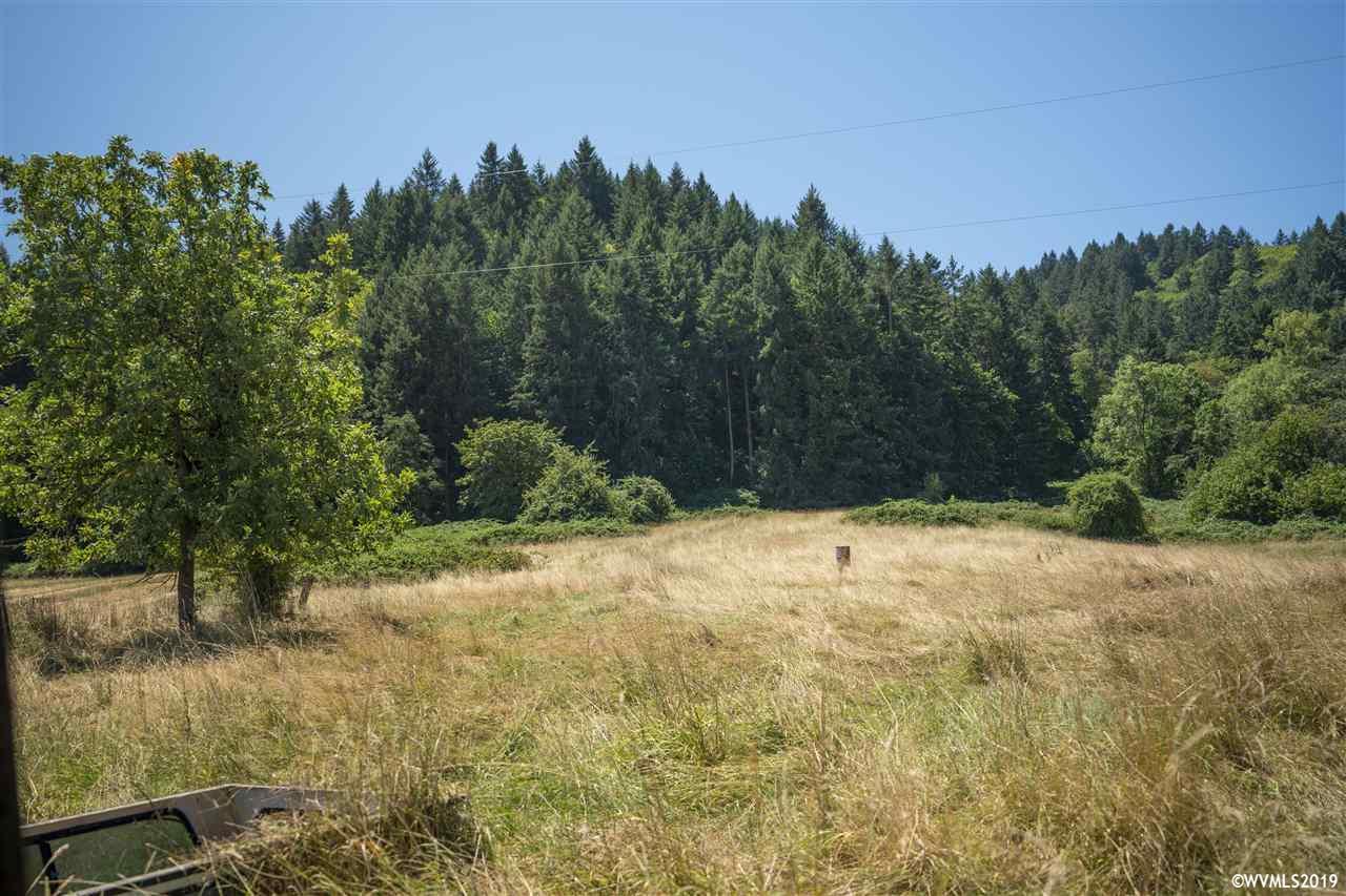 35930 Polly Farm - Photo 1