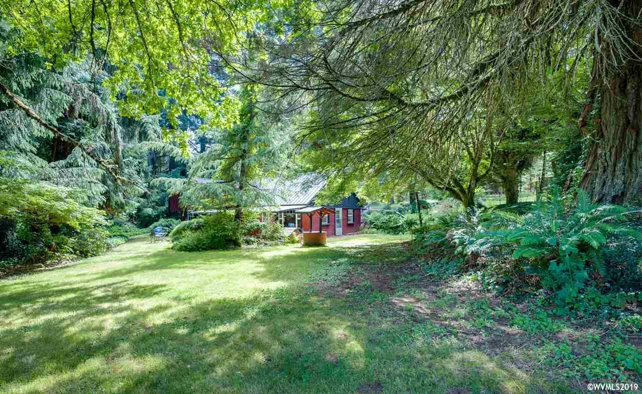 941 Silver Falls Dr - Photo 1