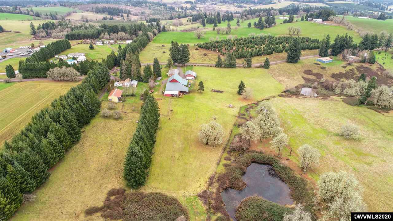 26910 Fern Ridge Rd - Photo 1