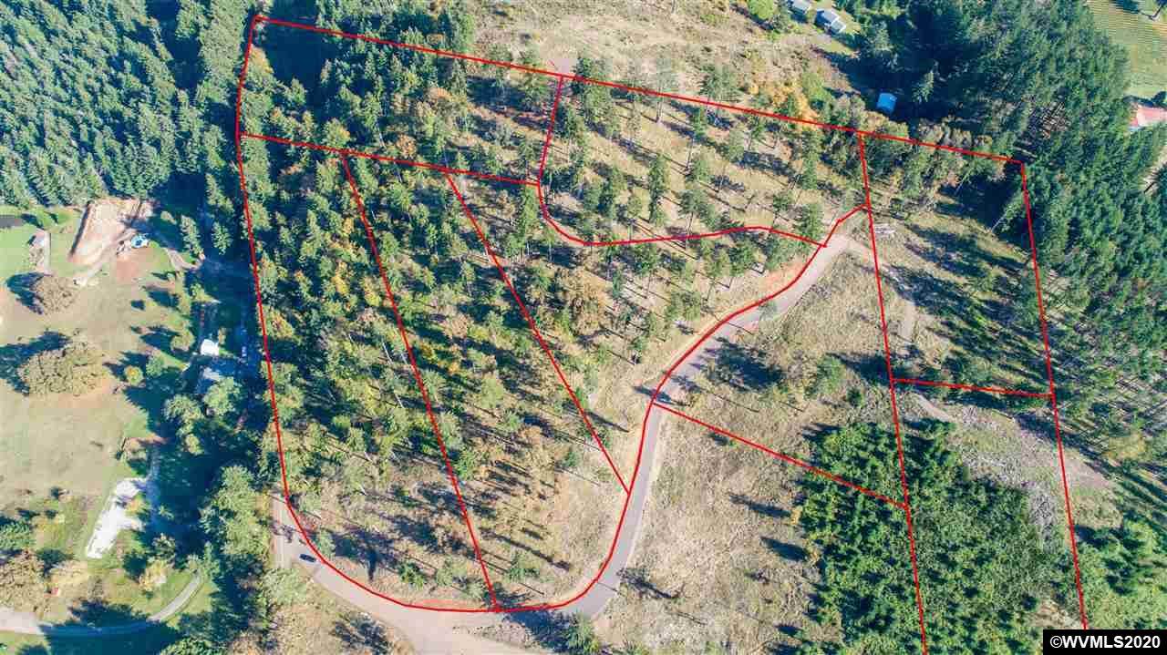 LOTS Orchard View Ridge - Photo 1