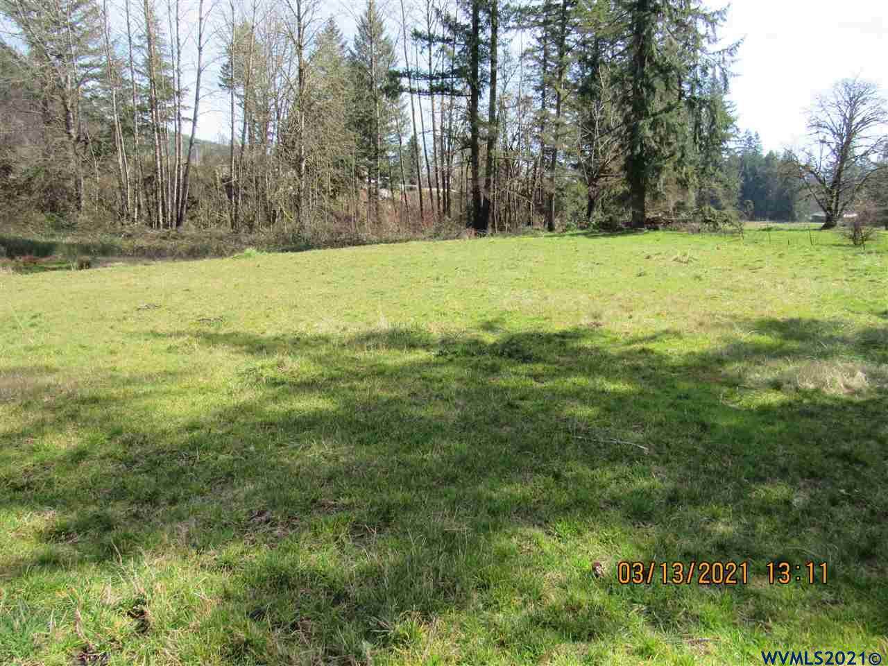 28340 Santiam - Photo 1