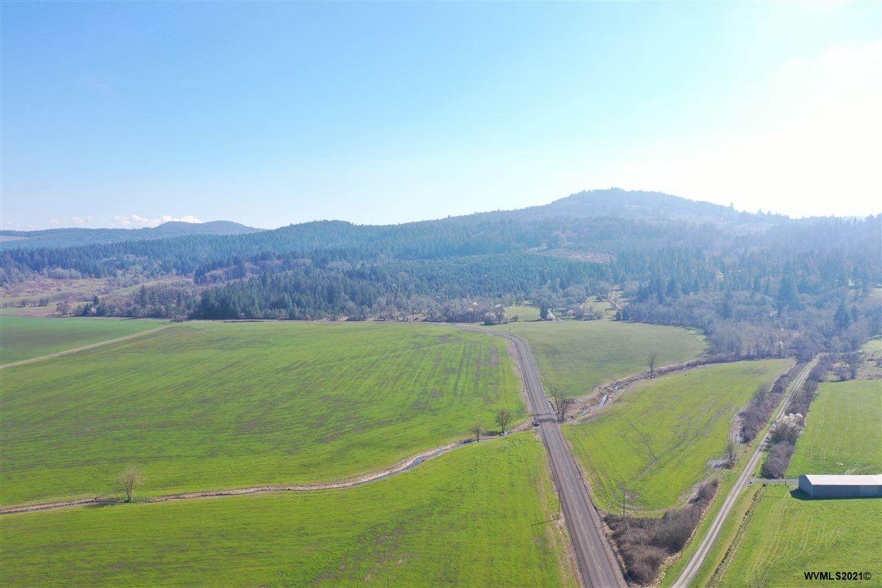 Tax Lot 800 Brownsville - Photo 1
