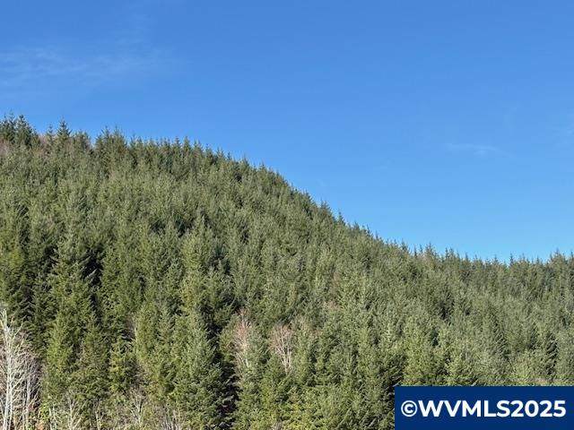 000 Logsden - Photo 1