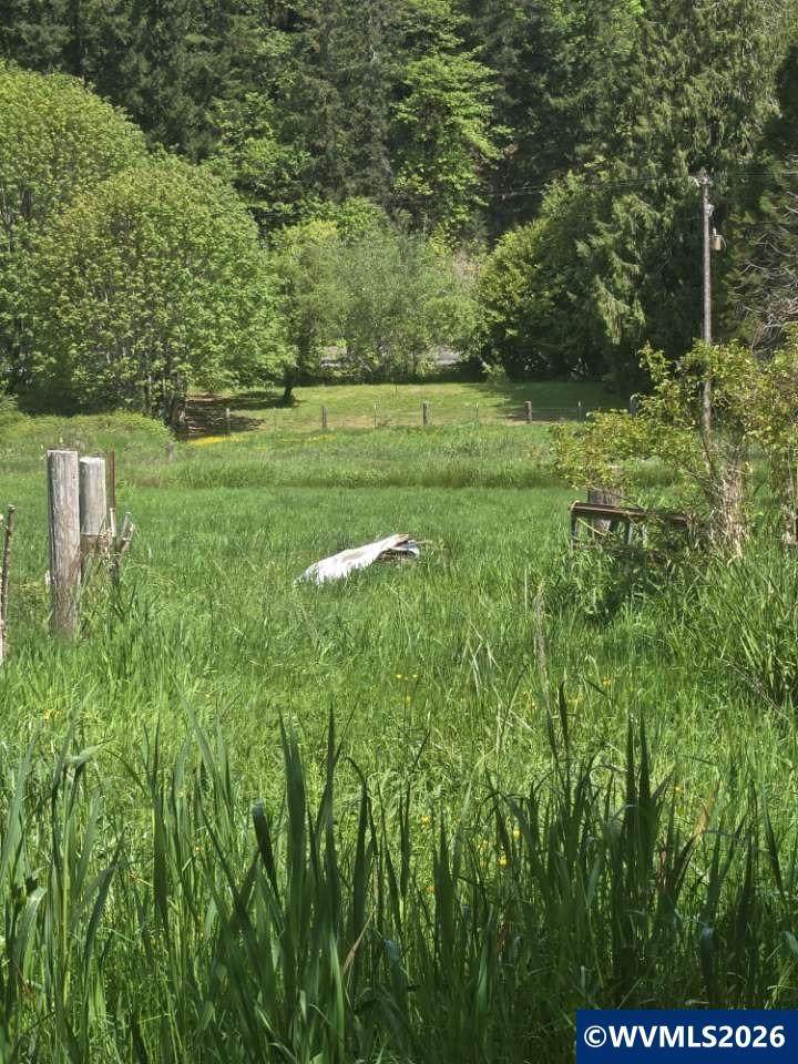 10195 Sweet Creek Rd - Photo 1