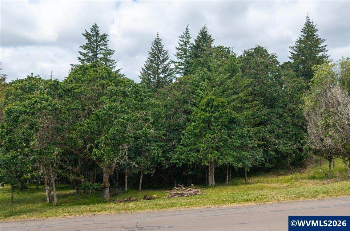 Lot 2300 Grandview - Photo 1