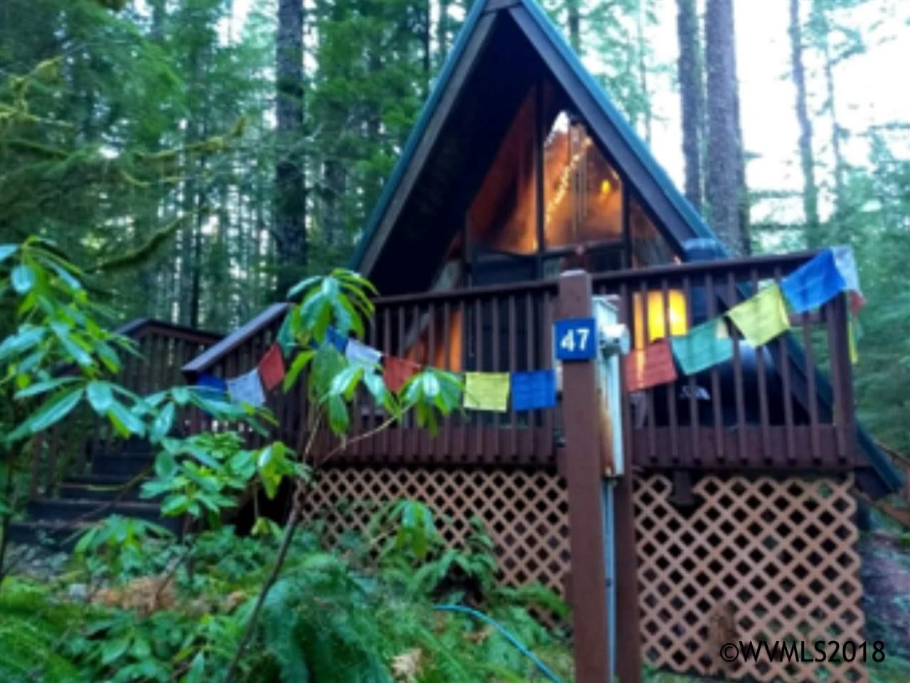 47B Stahlman Summer Home Sites - Photo 1