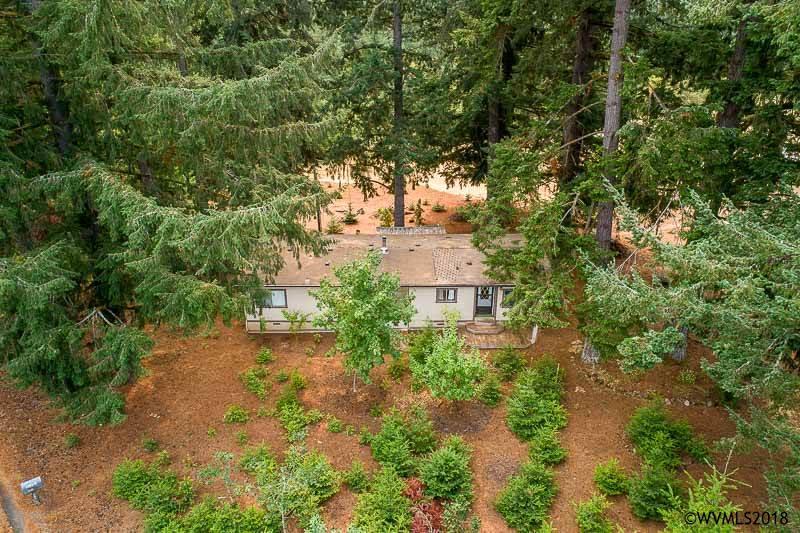 35534 Ede Rd - Photo 1