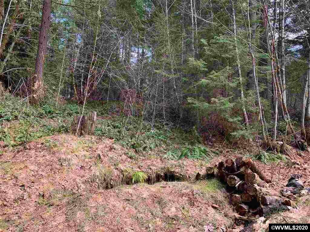 260 Cedar - Photo 1