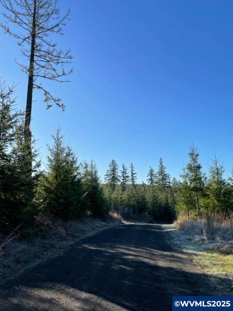 00 Buck Hollow (18) - Photo 1