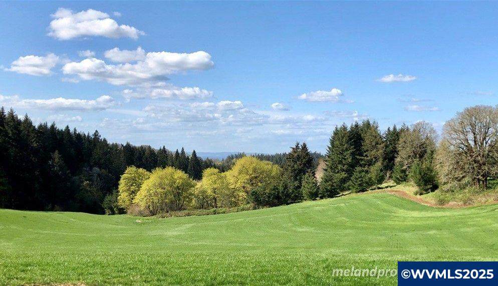 2678 Drift Creek - Photo 1