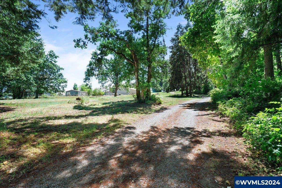 15540 Quall - Photo 1