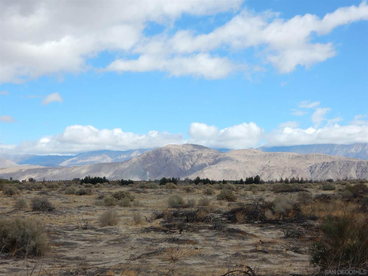 Palm Canyon Dr - Photo 1