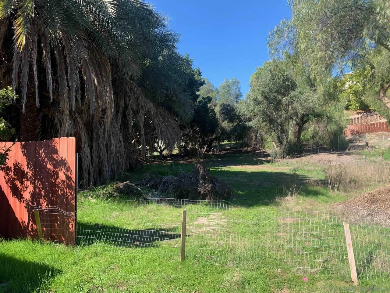 3966 Cordoba - Photo 1