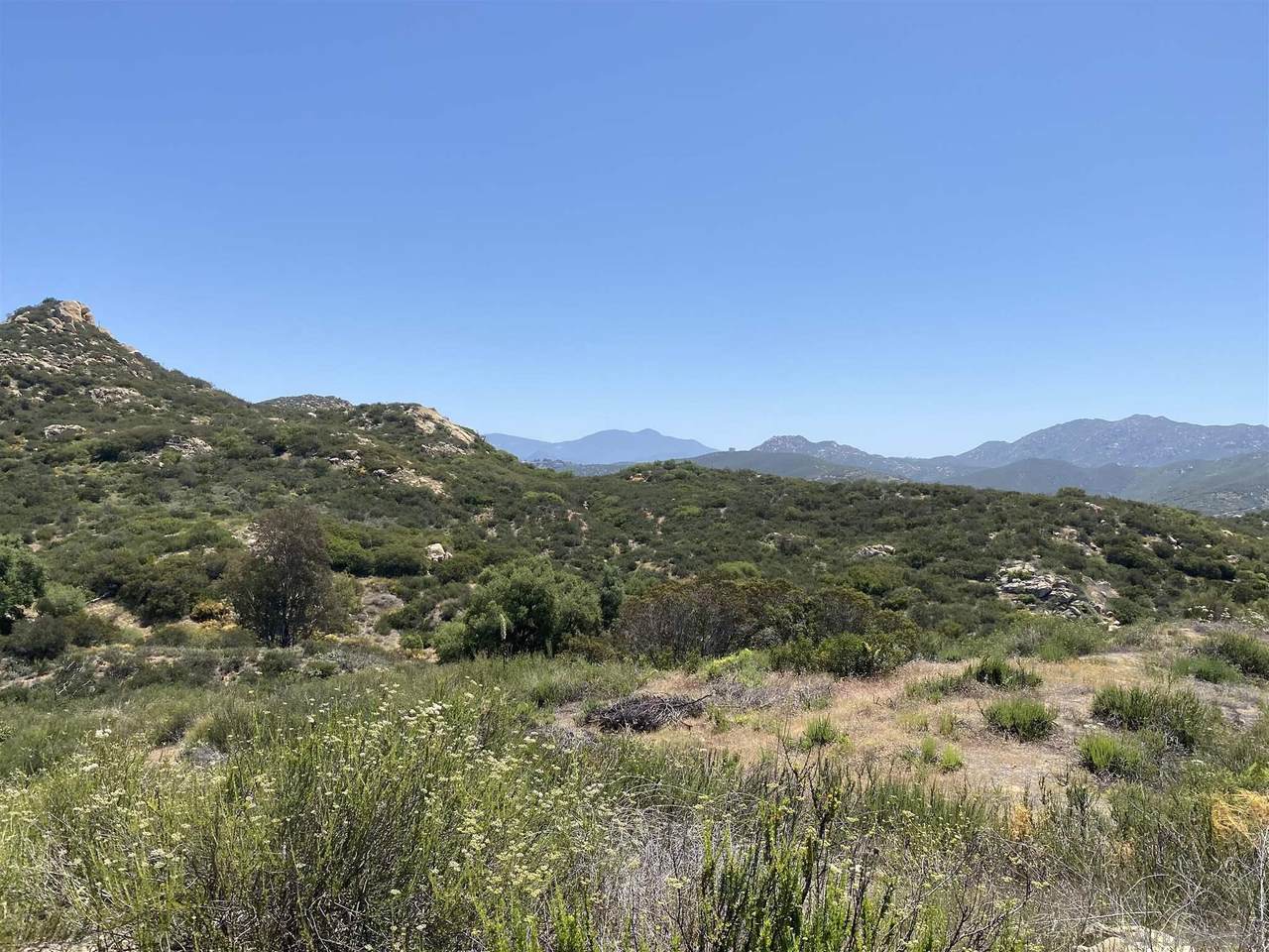 000 San Vicente View - Photo 1