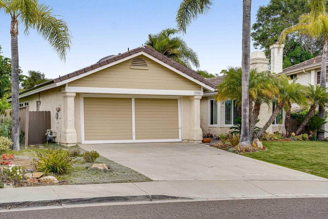 7956 Camino Alvaro - Photo 1
