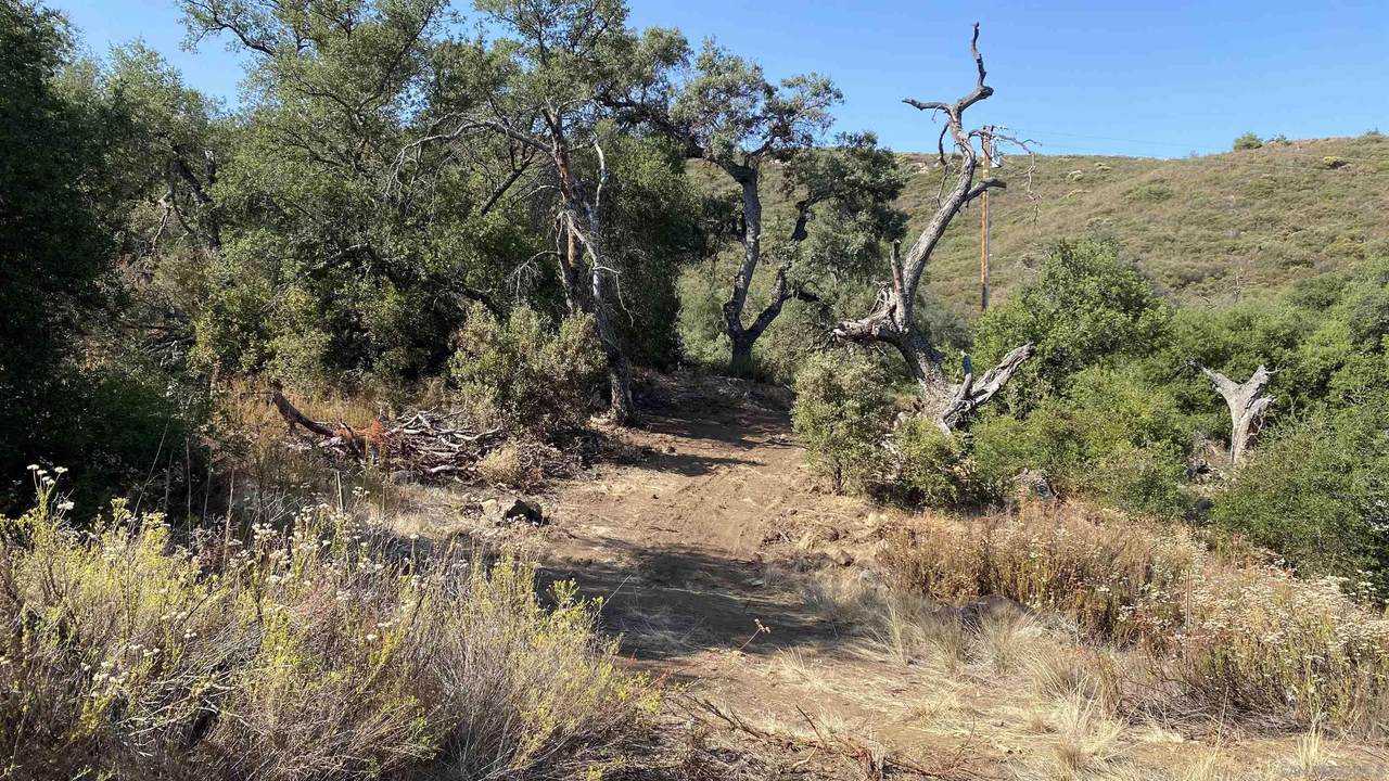 Japatul Valley Rd - Photo 1