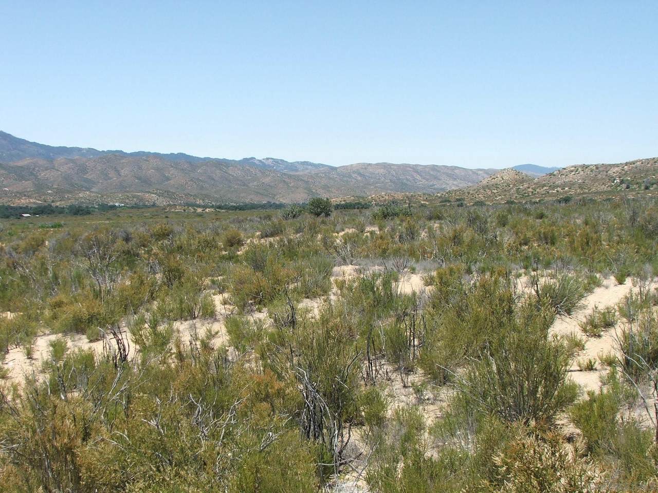 https://bt-photos.global.ssl.fastly.net/sandiego/1280_boomver_1_210031721-2.jpg