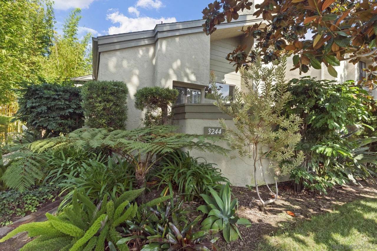 3244 Caminito Eastbluff - Photo 1