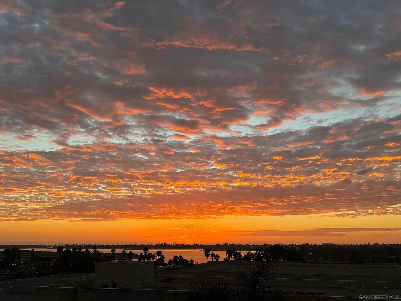 2514 Clairemont Drive - Photo 1