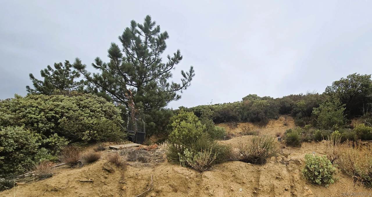https://bt-photos.global.ssl.fastly.net/sandiego/1280_boomver_2_250044072-1.jpg