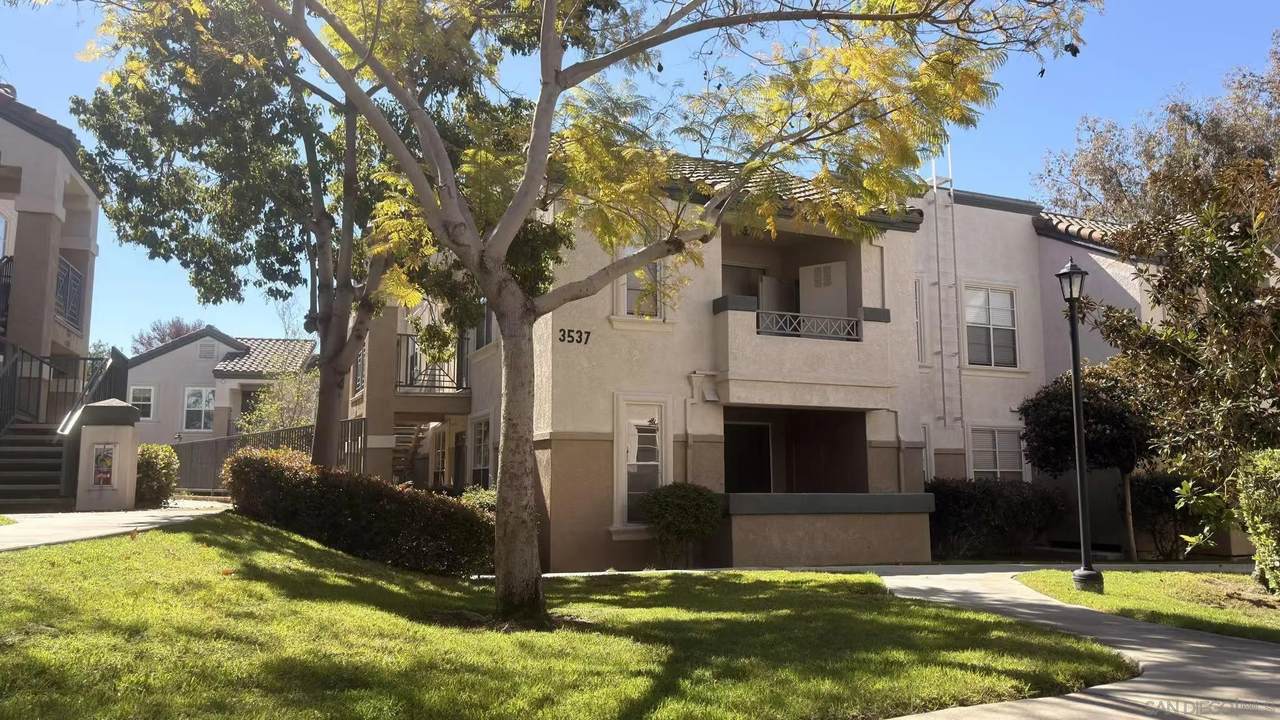 3537 Caminito El Rincon - Photo 1