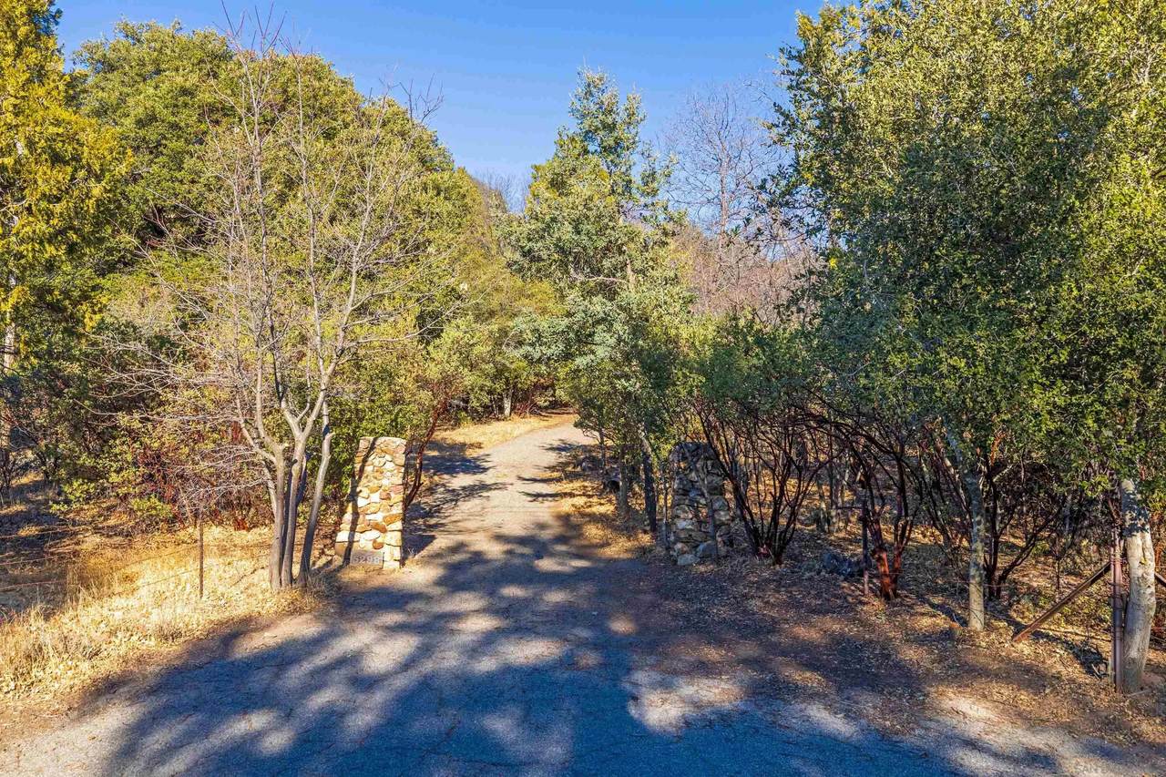 5298 Pine Hills Rd. - Photo 1