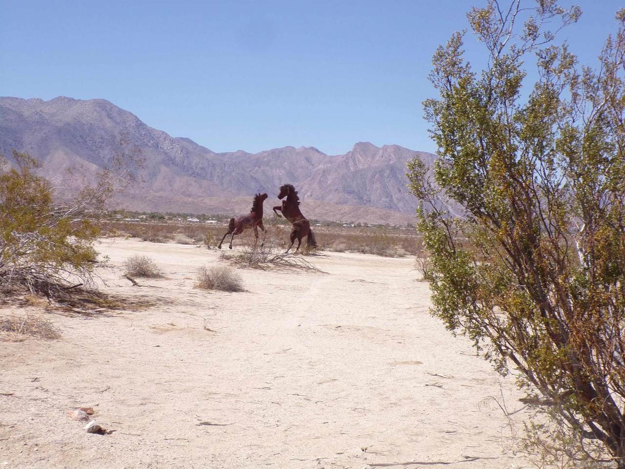 0 Borrego Valley Road - Photo 1