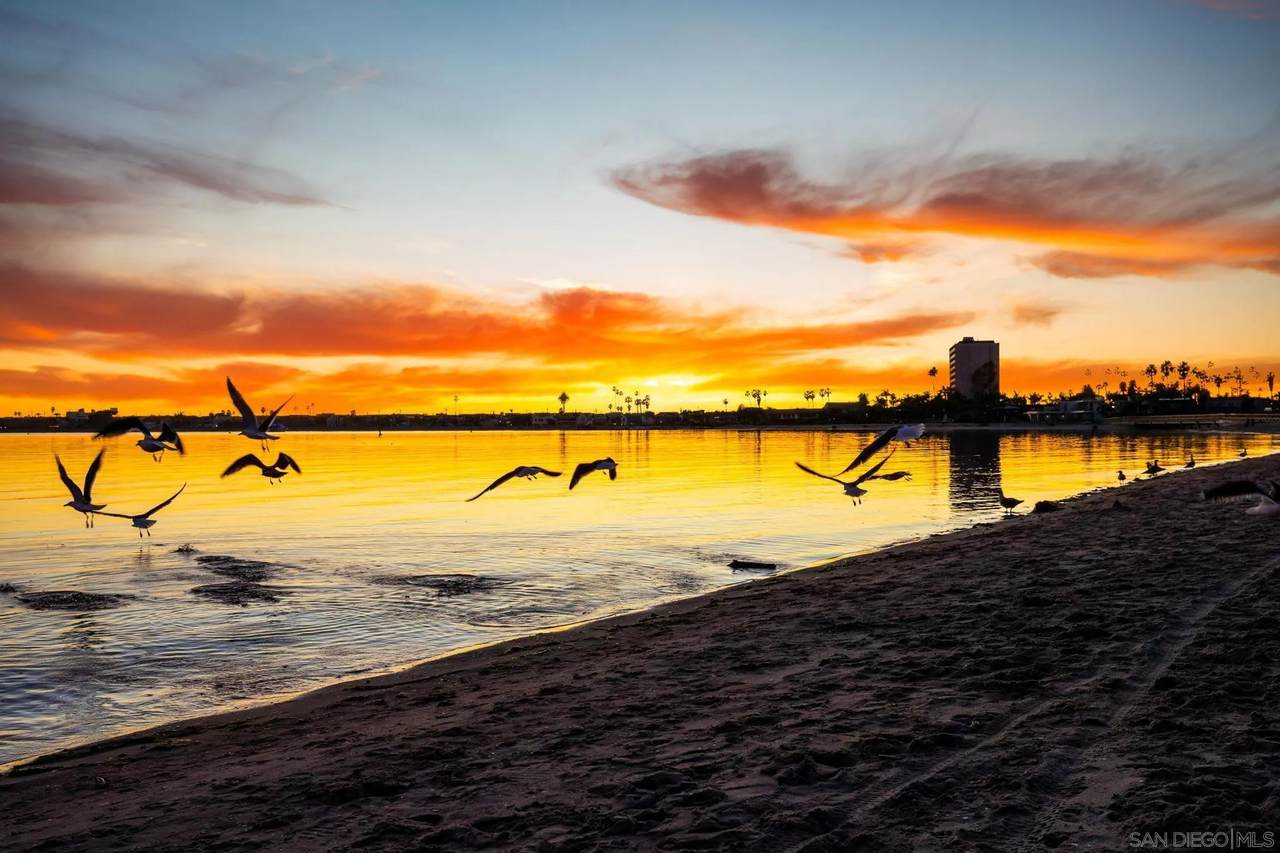https://bt-photos.global.ssl.fastly.net/sandiego/1280_boomver_1_260013256-1.jpg