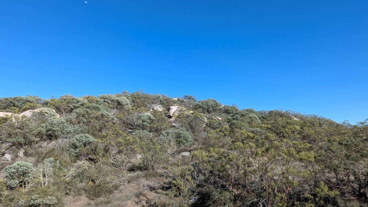 778 Lot on Crazy Horse Canyon - Photo 1