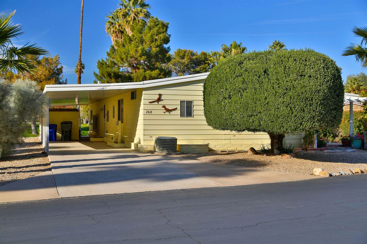 1010 Palm Canyon Dr - Photo 1