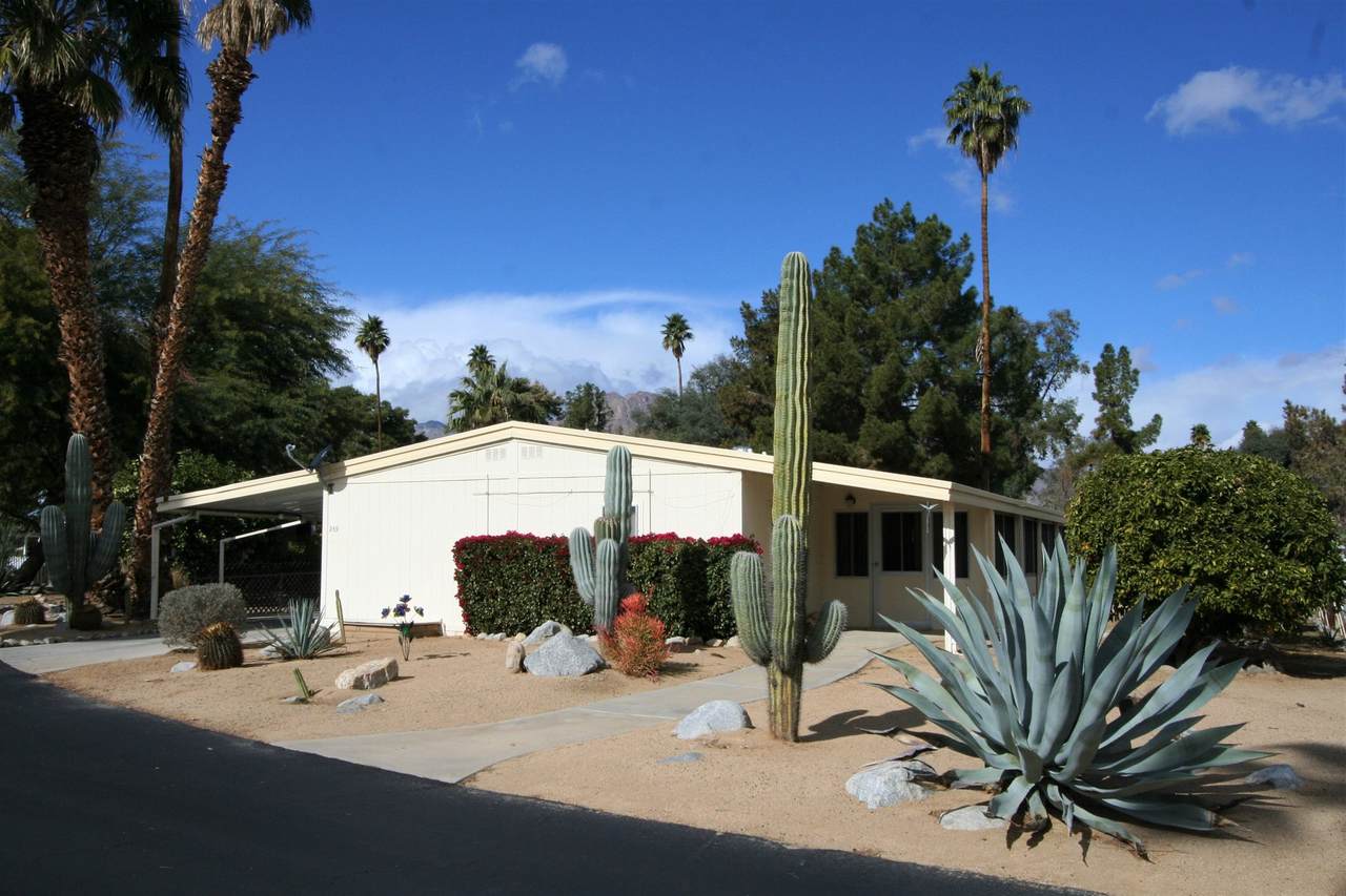 1010 Palm Canyon Dr - Photo 1