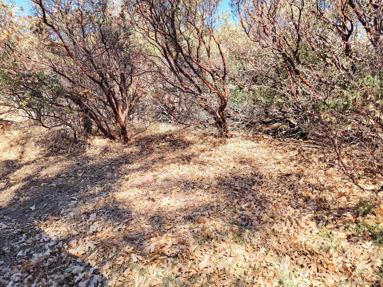Lot 181 Whispering Pines Drive - Photo 1