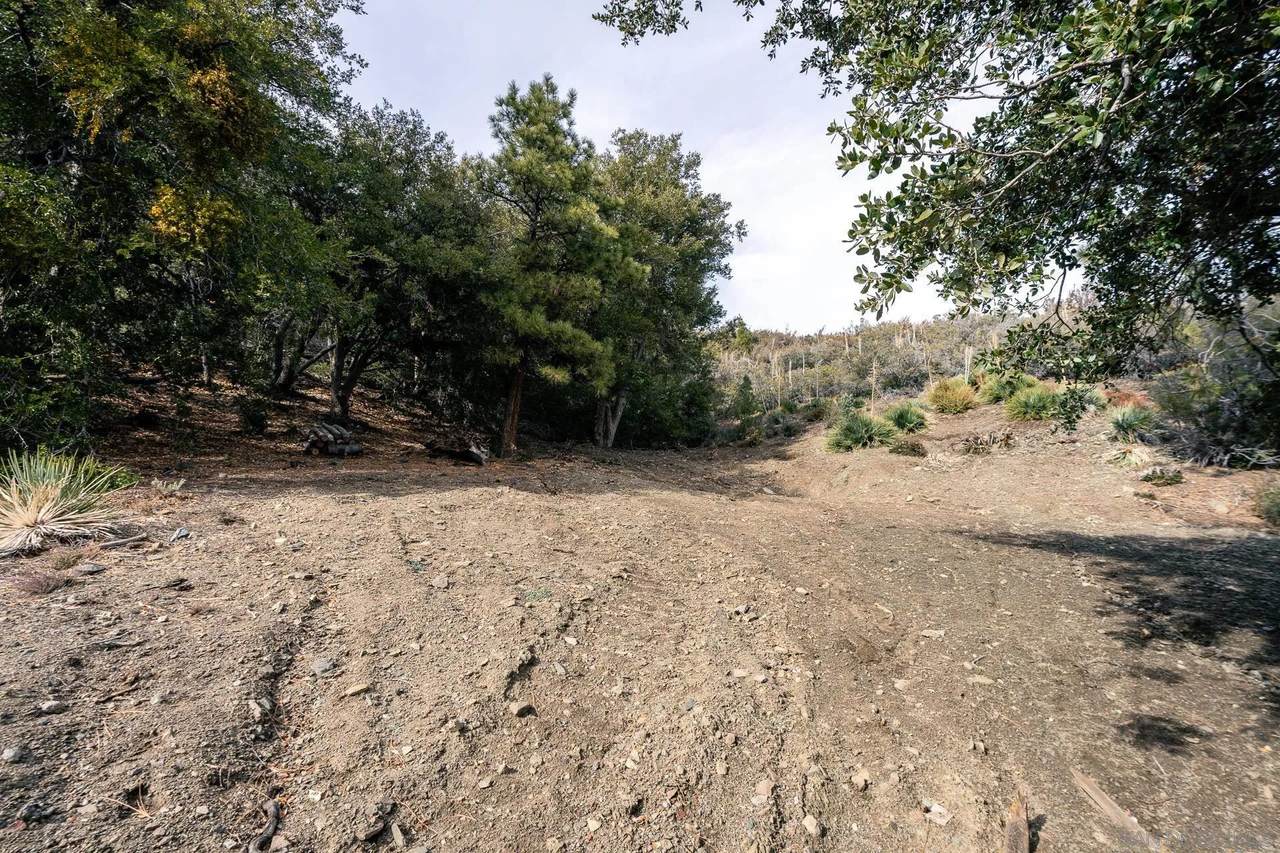0 Timberline Dr - Photo 1