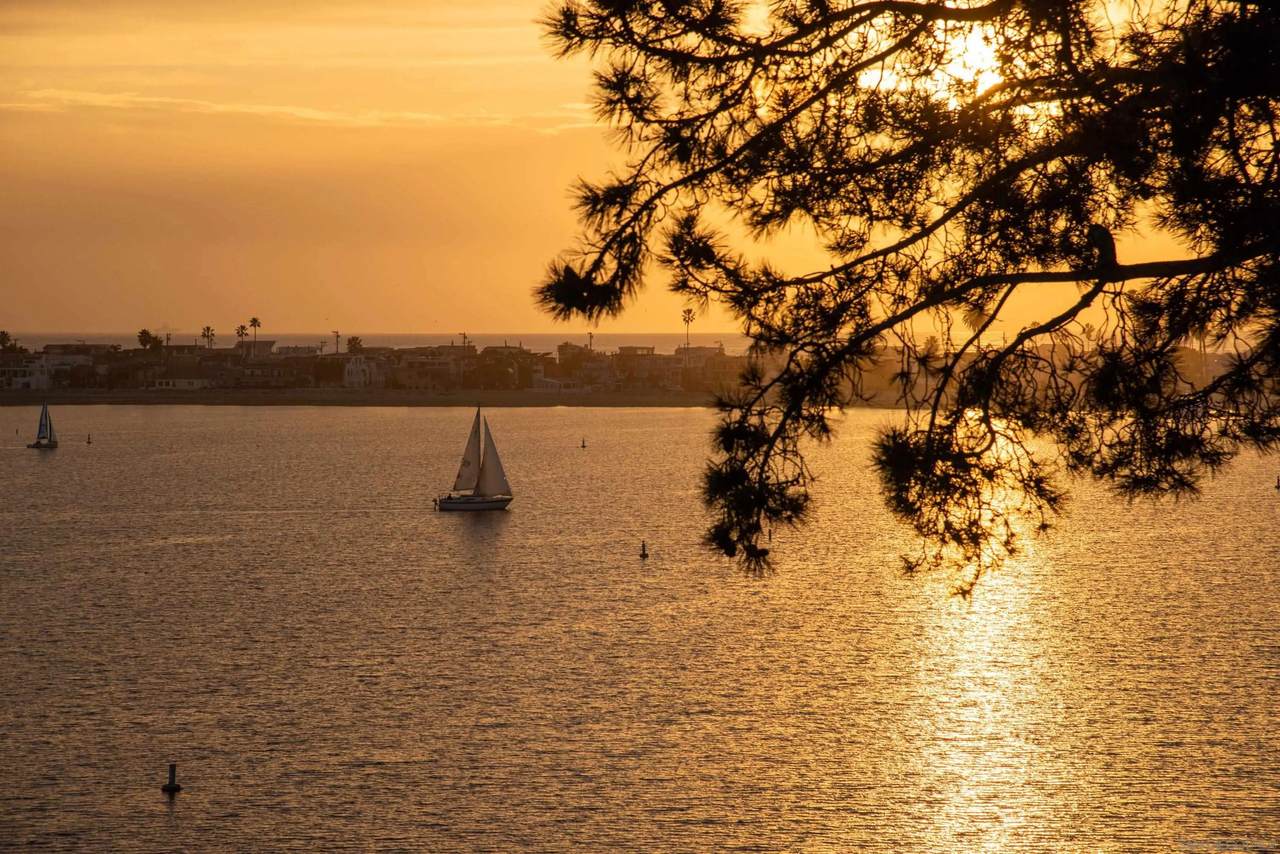 https://bt-photos.global.ssl.fastly.net/sandiego/1280_boomver_2_260003144-1.jpg