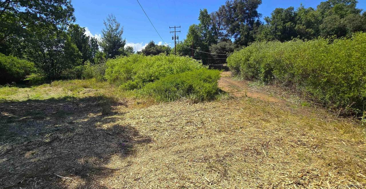 38 Creek Rd. - Photo 1