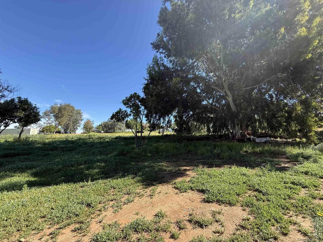 2055 Riviera Dr - Photo 1