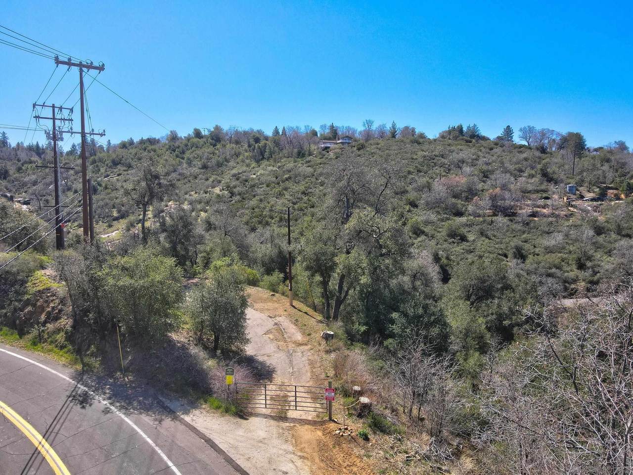 Pine Hills Rd - Photo 1