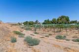 43900 Highway 79 - Photo 61