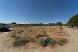 43900 Highway 79 - Photo 47